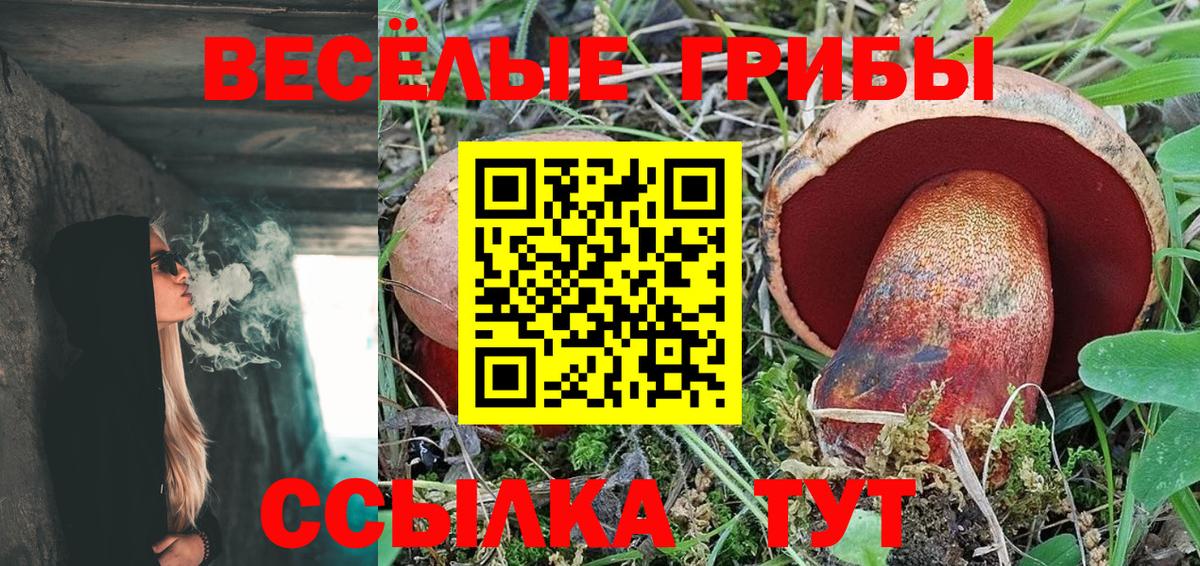 Псилоцибиновые грибы Psilocybe Большой Камень